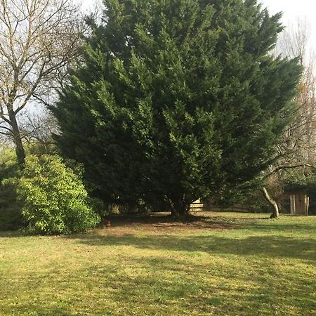 La Grange De La Batone - Bed And Breakfast Messimy-sur-Saone Exterior foto
